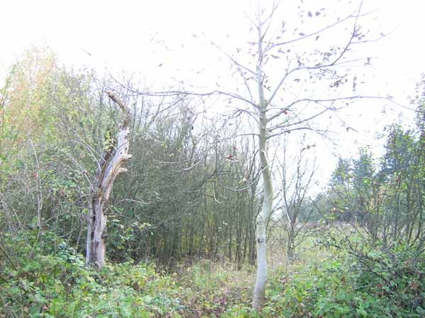 http://www.oleanna.de/files/gimgs/11_organic-botanic-2-landschaft2.jpg