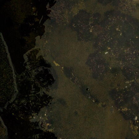 http://www.oleanna.de/files/gimgs/25_black-sea.jpg